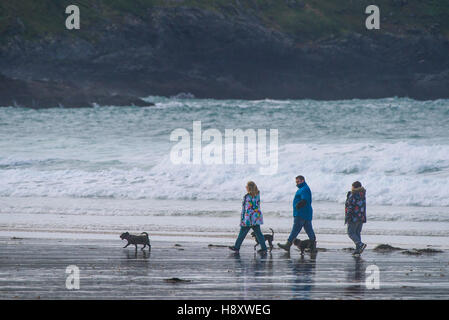 Eine Familie ihre Hunde gehen auf Fistral Beach in Newquay, Cornwall. Stockfoto