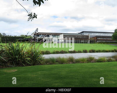 Villa Maria Weingut, Auckland, Nordinsel, Neuseeland. Zeigen die Reben mit Netzen abdecken, um die Vögel Weg zu halten. Stockfoto