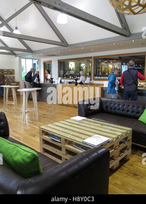 Innere der Bucht trübe Weinberg im Marlborough, Südinsel, Neuseeland. Heimat des Sauvignon Blanc und Pinot Noir. Stockfoto