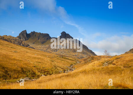 Nach oben in Richtung The Cobbler Berg in den Alpen Arrochar, Schottland Stockfoto