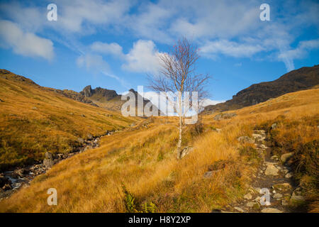 Nach oben in Richtung The Cobbler Berg in den Alpen Arrochar, Schottland Stockfoto