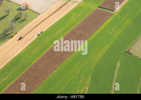 Luftaufnahme der Maisernte mit einem Mähdrescher, Traktor und Wagen im ländlichen Wisconsin. Stockfoto