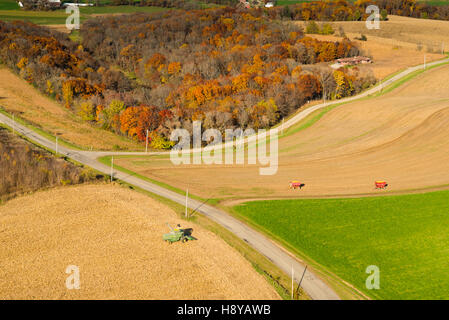 Luftaufnahme der Maisernte im ländlichen Wisconsin. Stockfoto