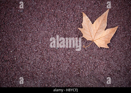 Gefallenen Herbst Blatt rot Pflaster Stockfoto