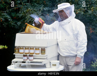 Biene-Keeper auf Grays Honig Farm. Warboys. Cambridgeshire. England. UK Stockfoto