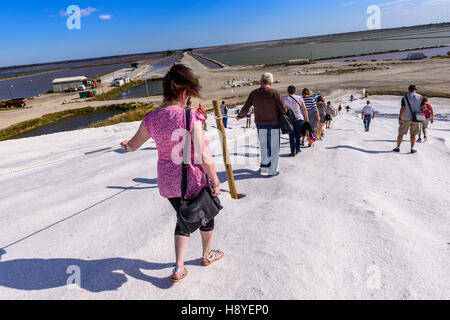 Ballade Sur LesLes Remparts Vue des Salins du Midi Aigue Morte, Camargue - Frankreich 30 Stockfoto