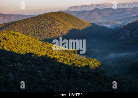 Vallée de Nans-Les-Pins et Sainte Victoire Var Frankreich 83 Stockfoto