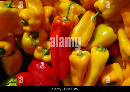 Gemischte rote und gelbe Peperoni Muster Stockfoto