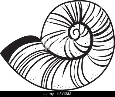 Schneckenhaus isoliert Symbol Vektor-Illustration-design Stock Vektor
