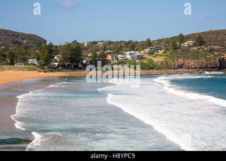 Blick nach Norden entlang Avalon Beach, einem der berühmten Nordstrände von Sydney, new South Wales, Australien Stockfoto