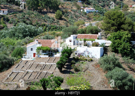 Land-Fincas in einem Tal zwischen Torrox und Competa, Provinz Malaga, Andalusien, Spanien, Westeuropa. Stockfoto