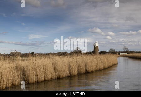 Schilf entlang dem Fluß Thurne mit West Somerton Windmühle über Norfolk Broads, Norfolk. Stockfoto