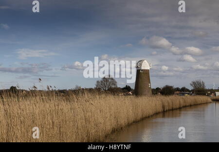 Schilf entlang dem Fluß Thurne mit West Somerton Windmühle über Norfolk Broads, Norfolk. Stockfoto