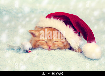 Kleine rote Katze Santa Hut auf einer Decke schlafen Stockfoto