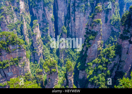 Blick über hohe Sandsteinsäulen und Formationen in Zhangjiajie National Park, Hunan, China Stockfoto