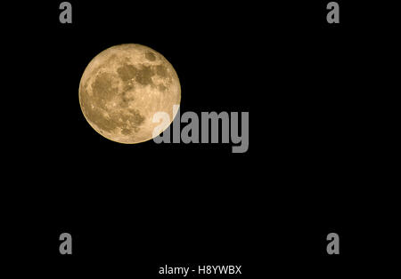 Supermoon steigt in den Nachthimmel von Texas am 14. November 2016 Stockfoto