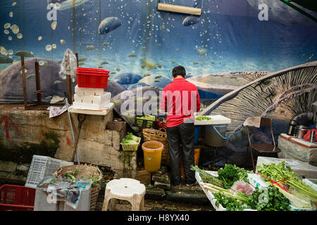 Hong Kong, 2013, die die Gegend westlich von Central Hong Kong Island enorm in den letzten 20 Jahren verändert hat. Stockfoto