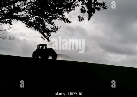 Die irischen Bauern spreads Gülle in der Dämmerung auf seiner Farm mit kopieren. Stockfoto
