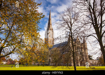 Kathedrale von Salisbury in Wiltshire, England. Stockfoto