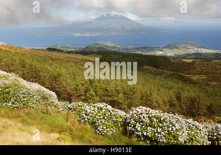 Blick von Faial Caldeira. Pico Insel im Archipel der Azoren. Horizontale Stockfoto