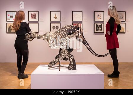 Edinburgh, Schottland. 17. November 2016. Edinburghs Stadtzentrum Kunst inszeniert ein Skizze des Universums: Kunst, Wissenschaft und den Einfluss von d ' Arcy Thompson, eine große neue Ausstellung für moderne und zeitgenössische Kunst inspiriert von der bahnbrechenden Edinburgh geborene Biologe d ' Arcy Thompson (1860 Ð 1948).   Eröffnet wird die Ausstellung verfügt über 90 Kunstwerke und Leihgaben aus dem D'Arcy Thompson Zoology Museum an der University of Dundee - Museum im Stadtzentrum Kunst des Rates vom 19. November. Bildnachweis: Richard Dyson/Alamy Live-Nachrichten Stockfoto