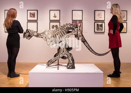 Edinburgh, Schottland. 17. November 2016. Edinburghs Stadtzentrum Kunst inszeniert ein Skizze des Universums: Kunst, Wissenschaft und den Einfluss von d ' Arcy Thompson, eine große neue Ausstellung für moderne und zeitgenössische Kunst inspiriert von der bahnbrechenden Edinburgh geborene Biologe d ' Arcy Thompson (1860 Ð 1948).   Eröffnet wird die Ausstellung verfügt über 90 Kunstwerke und Leihgaben aus dem D'Arcy Thompson Zoology Museum an der University of Dundee - Museum im Stadtzentrum Kunst des Rates vom 19. November. Bildnachweis: Richard Dyson/Alamy Live-Nachrichten Stockfoto