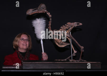 Dodoskelett auf Auktion im Sommer Ort Auktionen, Billingshurst, UK. 17. November 2016 Stockfoto