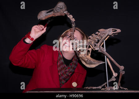 Dodoskelett auf Auktion im Sommer Ort Auktionen, Billingshurst, UK. 17. November 2016 Stockfoto