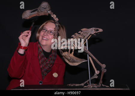 Dodoskelett auf Auktion im Sommer Ort Auktionen, Billingshurst, UK. 17. November 2016 Stockfoto