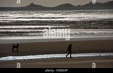 Swansea, Großbritannien. 17. November 2016. Ein einsamer Dogwalker kämpft gegen die Stürme auf dem Sand in Swansea Bay heute Nachmittag. Bildnachweis: Phil Rees/Alamy Live-Nachrichten Stockfoto