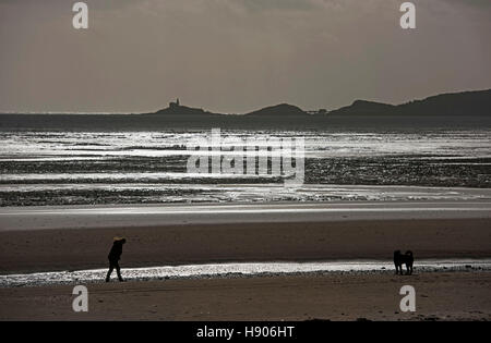 Swansea, Großbritannien. 17. November 2016. Ein einsamer Dogwalker kämpft gegen die Stürme auf dem Sand in Swansea Bay heute Nachmittag. Bildnachweis: Phil Rees/Alamy Live-Nachrichten Stockfoto