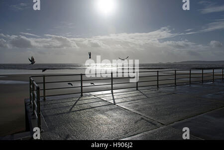 Swansea, Großbritannien. 17. November 2016. Möwen kämpfen gegen die windigem Wetter am Strand von Swansea Bay heute Nachmittag. Bildnachweis: Phil Rees/Alamy Live-Nachrichten Stockfoto