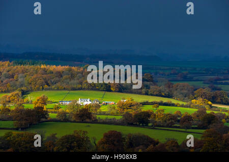 25er, Dorset, UK.  17. November 2016.  Großbritannien Wetter.  Ein Patch von Sonnenlicht beleuchtet die Landschaft in der Nähe von 25er in Dorset als dunkle Wolken und eine schwere Band Regen nähert sich auf einem stürmischen Herbstnachmittag.  Bild: Graham Hunt/Alamy Live-Nachrichten Stockfoto