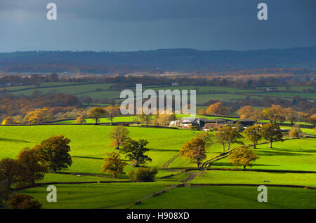 25er, Dorset, UK.  17. November 2016.  Großbritannien Wetter.  Ein Patch von Sonnenlicht beleuchtet die Landschaft in der Nähe von 25er in Dorset als dunkle Wolken und eine schwere Band Regen nähert sich auf einem stürmischen Herbstnachmittag.  Bild: Graham Hunt/Alamy Live-Nachrichten Stockfoto