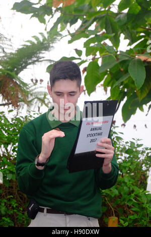 Whipsnade, Bedfordshire, Großbritannien. 10 Jan, 2017. Zoo Keeper zählt Schmetterlinge während der jährlichen Inventur in Whipsnade Zoo Stockfoto