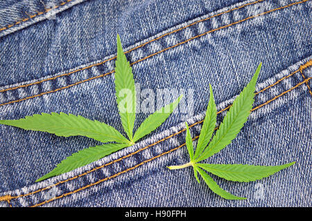 Marihuana lässt auf eine alte blaue jeans Stockfoto