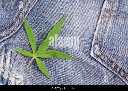 Marihuana lässt auf eine alte blaue jeans Stockfoto