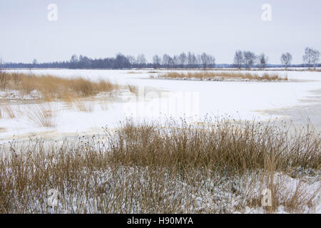 Goldenstedter moor, Niedersachsen, Niedersachsen, Deutschland Stockfoto