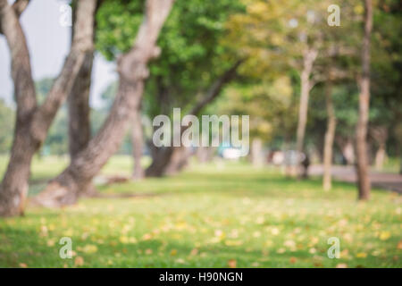 Verschwommene Szene der Park Gehweg, Blätter Baum ändern Farbe und Rasen, die abgedeckten gelben fallen auf Wintersaison. Stockfoto