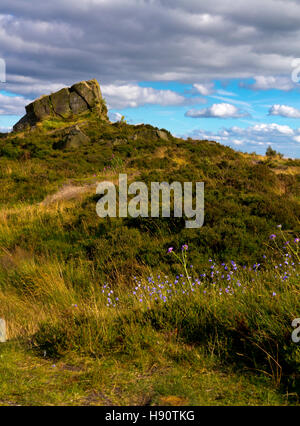 Ashover Rock oder Fabrick ein Gritstone-Boulder und Aussichtspunkt in der Nähe von Ashover im Peak District Derbyshire England UK Stockfoto