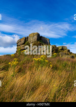 Ashover Rock oder Fabrick ein Gritstone-Boulder und Aussichtspunkt in der Nähe von Ashover im Peak District Derbyshire England UK Stockfoto