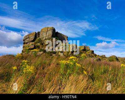 Ashover Rock oder Fabrick ein Gritstone-Boulder und Aussichtspunkt in der Nähe von Ashover im Peak District Derbyshire England UK Stockfoto