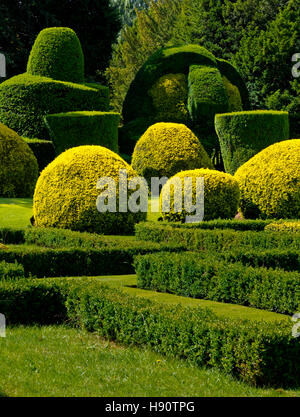 Hecke in Elvaston Castle ein neugotisches Herrenhaus inmitten des Elvaston Country Park in der Nähe von Derby Derbyshire England UK Stockfoto