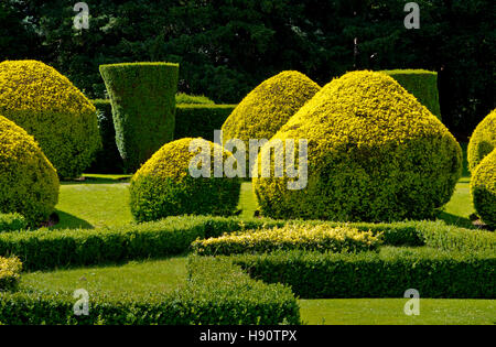 Hecke in Elvaston Castle ein neugotisches Herrenhaus inmitten des Elvaston Country Park in der Nähe von Derby Derbyshire England UK Stockfoto