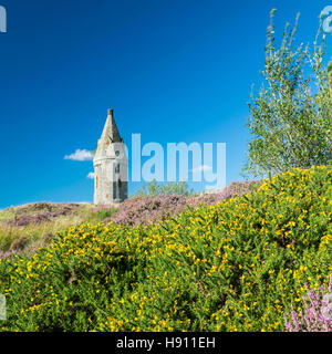 Hartshead Hecht Oldham Saddleworth Landschaft Sommer Großbritannien blauer Himmel Heidekraut Turm Torheit Stockfoto