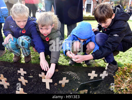 Die Jugendlichen Pflanzen Mohn am Remembrance Sunday, Haslemere, Surrey, UK. 13. November 2016. Stockfoto