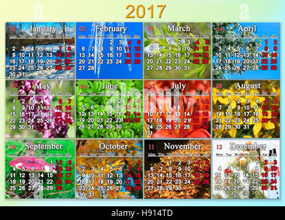 Kalender für das Jahr 2017 auf Englisch mit Foto der Natur für jeden Monat Stockfoto