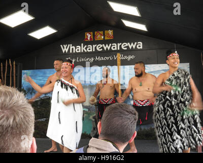 Whakarewarewa Maori Village bei Rotorua, Nordinsel, Neuseeland Stockfoto