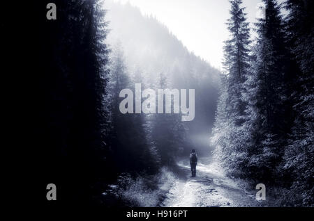Menschen wandern auf Forstweg mit Nebel zwischen den Kiefern am nebligen Morgen Stockfoto