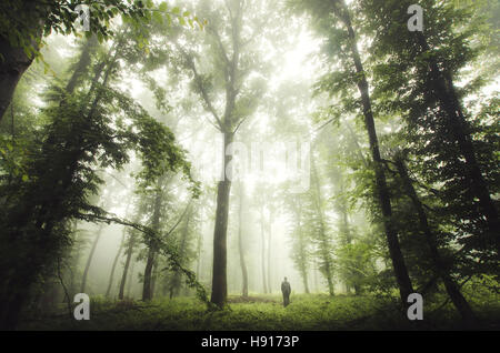 Mann erkunden grünen wilden Wald Stockfoto